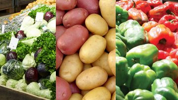 신선 식품 콜라주